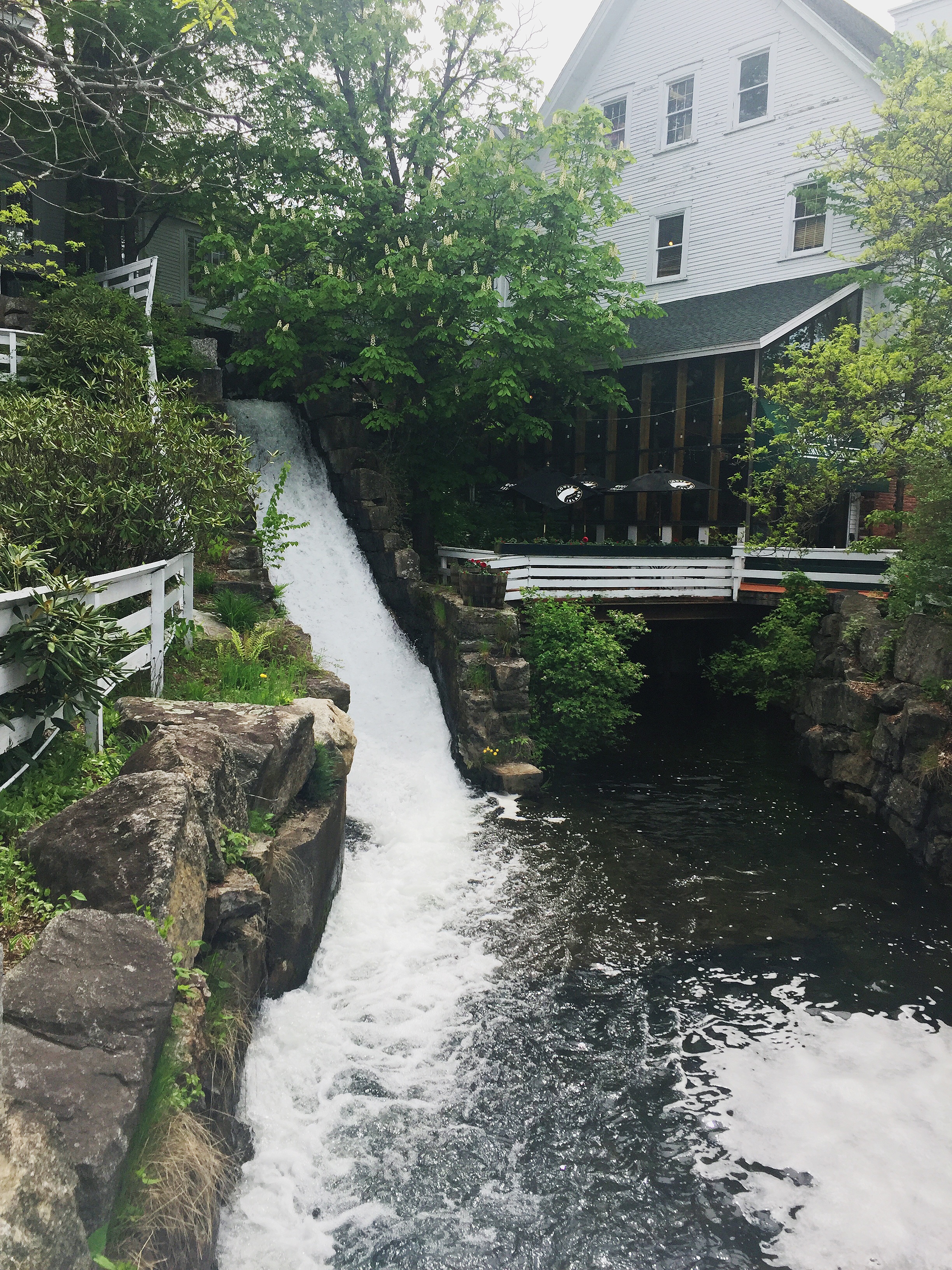 Mill Falls Marketplace Where to Eat Gluten Free