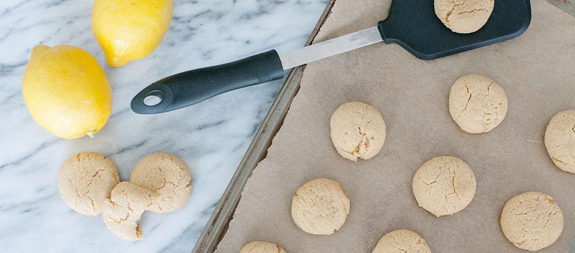 gluten free paleo lemon cookie recipe