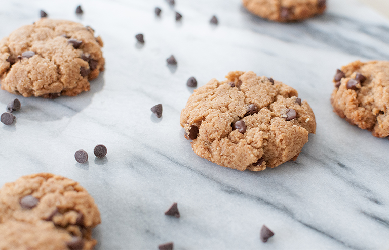 dairy free gluten free paleo chocolate chip cookie recipe