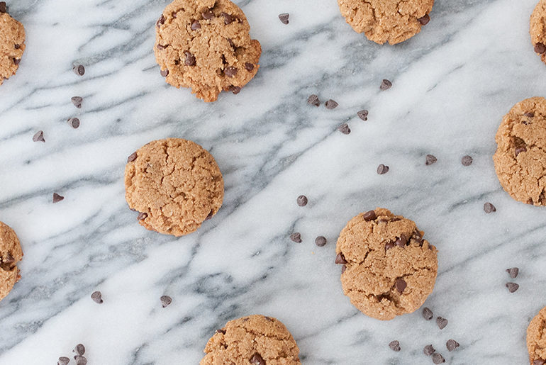 Recipe: Petite Paleo Chocolate Chip Cookies paleo gluten free dairy free chocolate chip cookie recipe