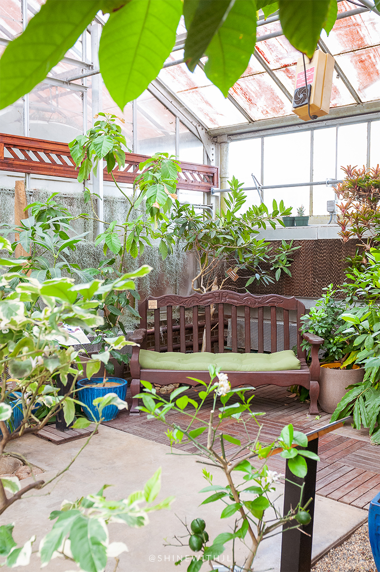 Things To Do In Charlotte UNC Botanical Gardens SHINEwithJL