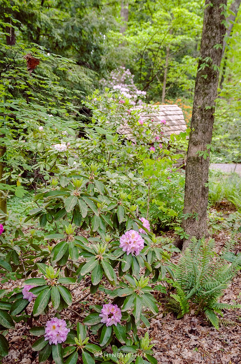 Things To Do In Charlotte UNC Botanical Gardens SHINEwithJL