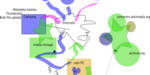 Mediaproxy_thumb