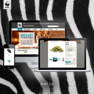 Ben Crudo Consulting - Ecommerce Developer / Setup - Theme from scratch
