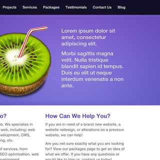 Ottawa Web Design - Ecommerce Designer - 