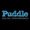 Puddle Digital Ltd - Ecommerce Designer / Marketer / Setup