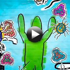 Illustration and Motion Video