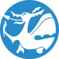 Colin Mcdonald - Ecommerce Developer
