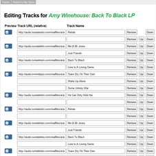 Custom Track Listing Form for Album Sales