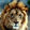 Majestic-lion1