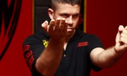 different wing chun lineages
