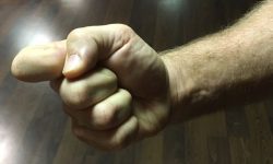 Phoenix Eye Fist inside