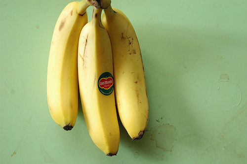 banana by keepon bananas photo