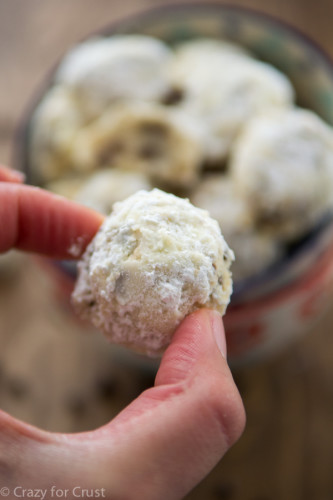 Chocolate-Chip-Snowball-Cookies-4-of-4