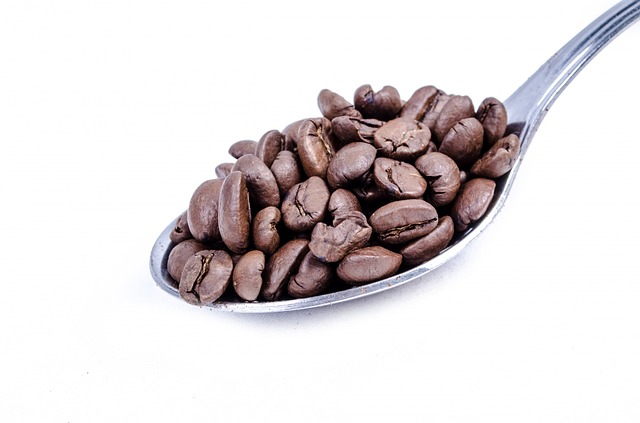 Photo by PublicDomainPictures cacao photo