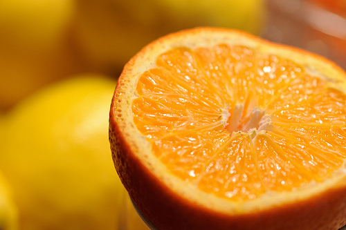 Citrus by Eric Kilby citrus photo
