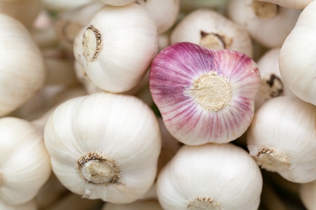 Photo by PublicDomainPictures garlic photo