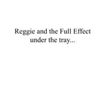 Cover-reggie_and_the_full_effect-under_the_tray_large