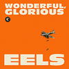 Eels_wonderglor_cover_medium
