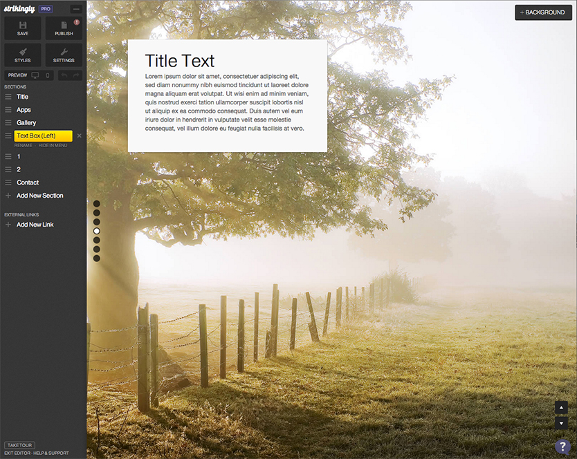 Plain text section.
