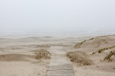 beach, sand, path, way, ocean, fog, nature, pathway