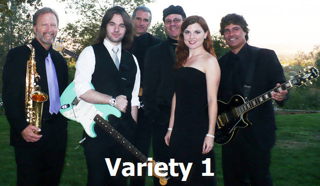 V1 Los Angeles Cover Band