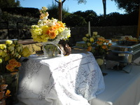 Wedding Catering