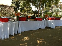 Wedding Catering