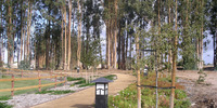 Old Mill Run | Orcutt - Walking Path
