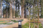 Walking Path