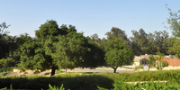 The Enclave at Harp Springs | Orcutt - View