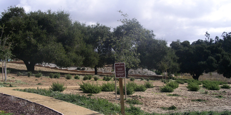 The Enclave at Harp Springs | Orcutt