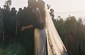 Wedding Catering