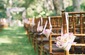 Wedding Catering
