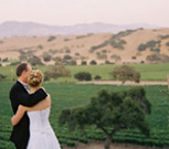 Firestone Vineyard Firestone Vineyard