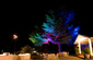 Backyard Weddings