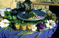 Corporate Events