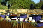 Corporate Events