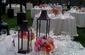 Zoo Catering Services and Weddings 