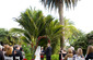 Zoo Catering Services and Weddings 