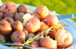 Buffet and Station Photos