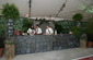 Bar Set Up and Drinks
