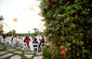 *Rincon Beach Club*