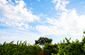 Mi Belle Photography
