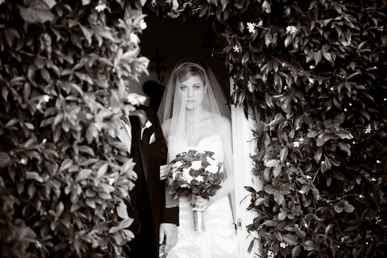 Jessica Lewis Photography