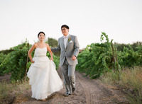 Wedding at Firestone Winery--A Toast to Love