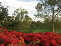 Santa Barbara Golf Courses