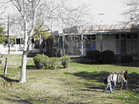 Goleta Schools