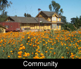 Community Involvement