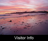 Visitors